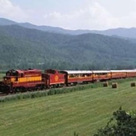 Honeymoon Getaway In Woods Near Noc And Smoky Mtn Rr Villa Bryson City Eksteriør billede