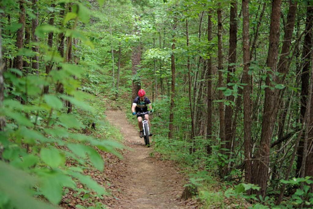 Honeymoon Getaway In Woods Near Noc And Smoky Mtn Rr Villa Bryson City Eksteriør billede