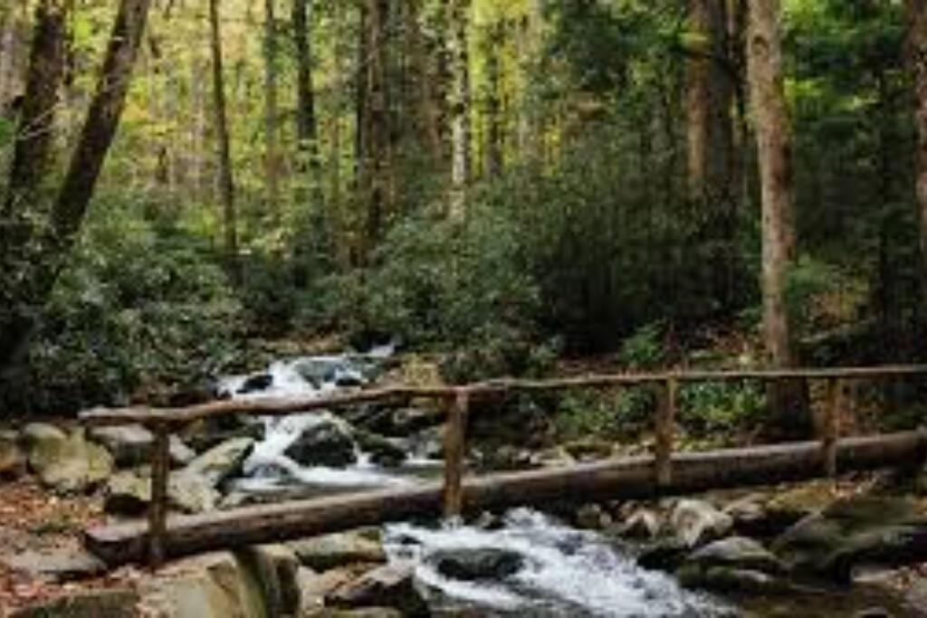 Honeymoon Getaway In Woods Near Noc And Smoky Mtn Rr Villa Bryson City Eksteriør billede