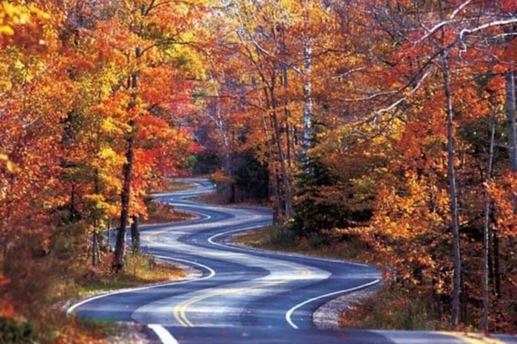 Honeymoon Getaway In Woods Near Noc And Smoky Mtn Rr Villa Bryson City Eksteriør billede